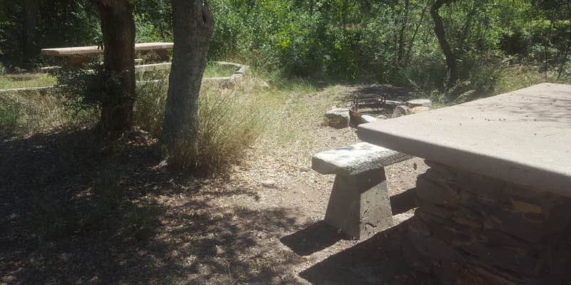 Camper submitted image from Jones Water Campground