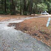 Review photo of Dauphin Island Campground by Lee D., February 29, 2020