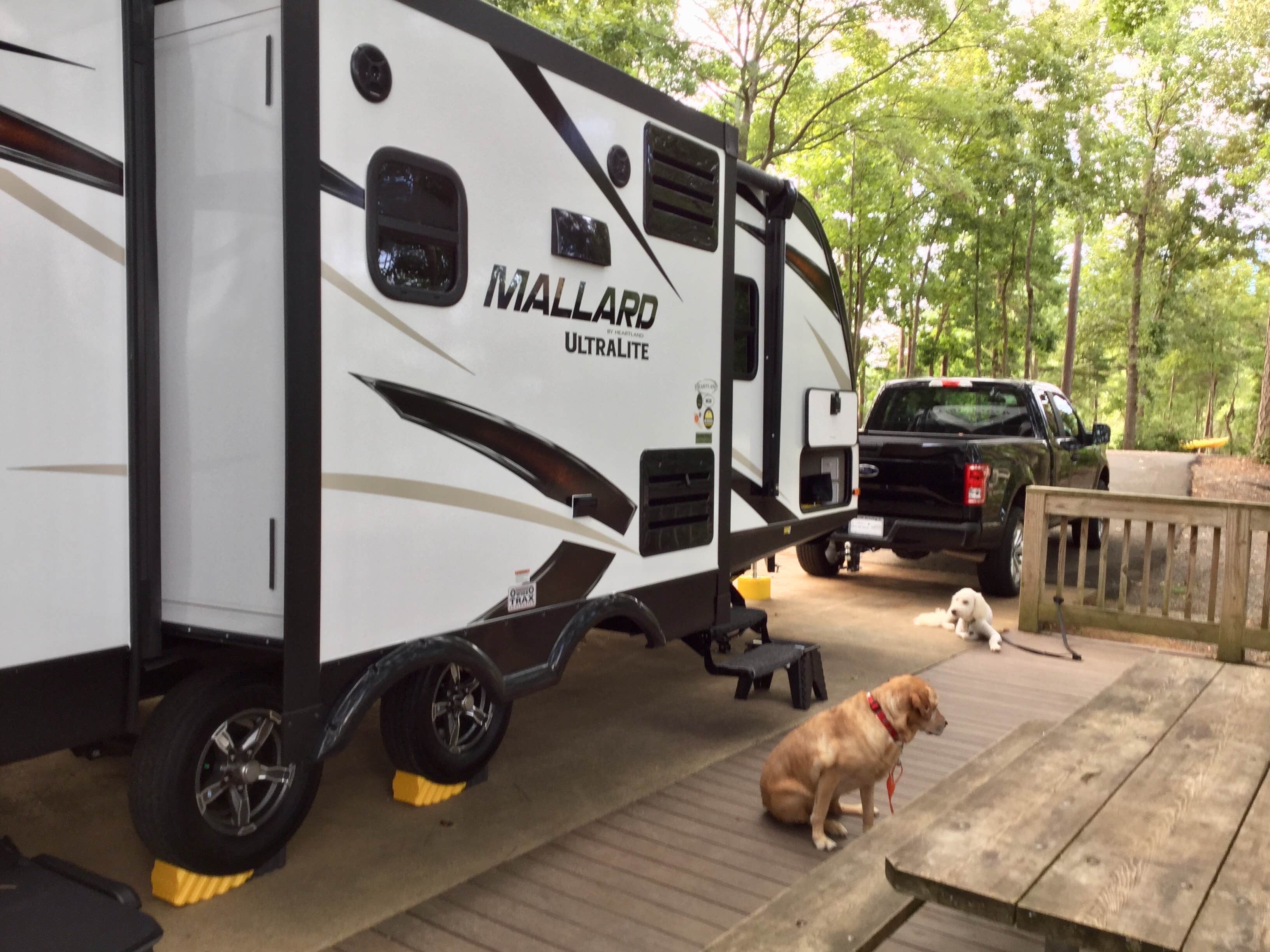 Mike K.'s photo of camping with pets at Woodring Campground near Eton, GA
