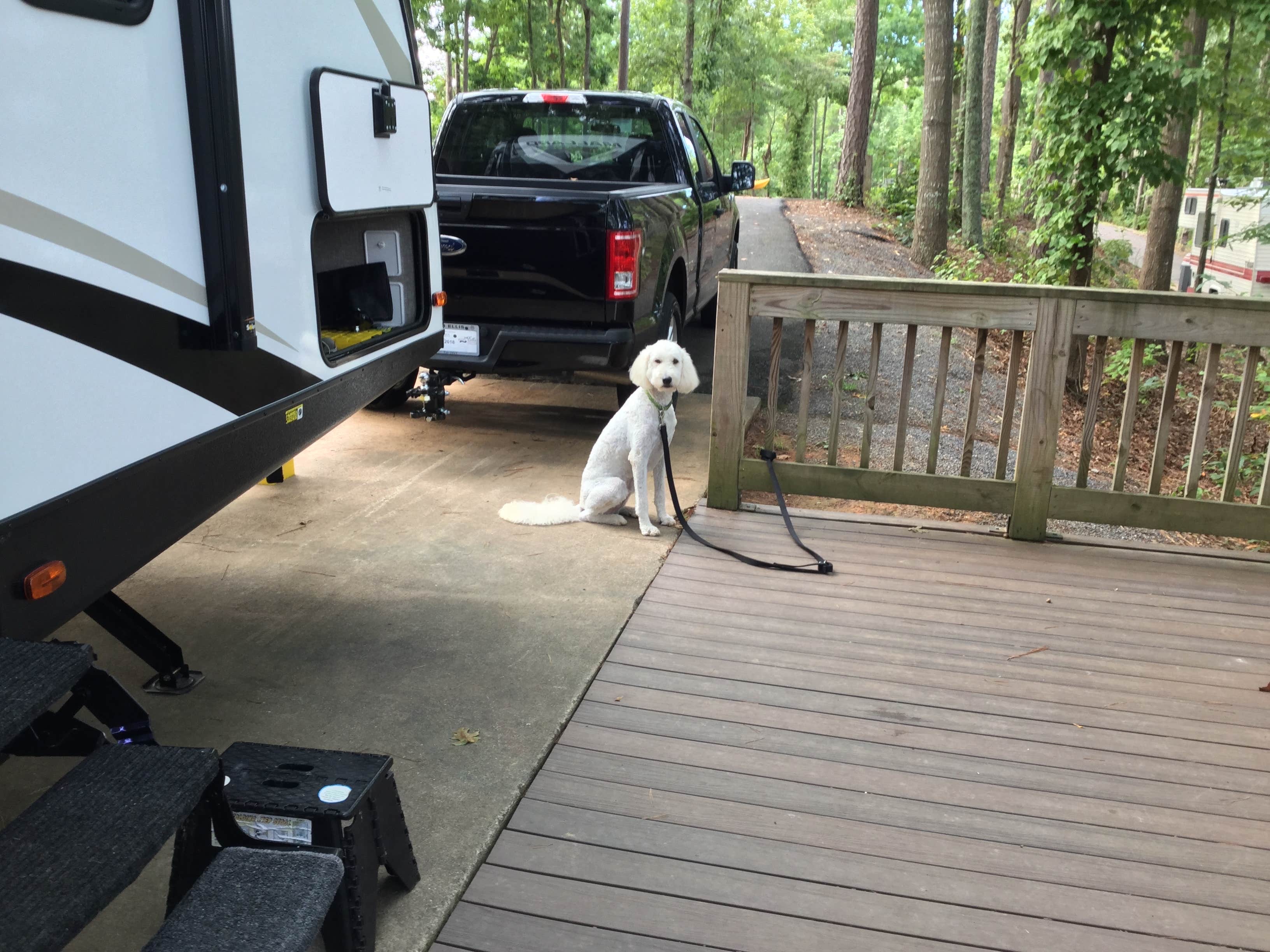 Mike K.'s photo of rv camping at Woodring Campground near Talking Rock, GA