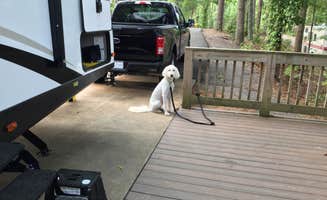 Mike K.'s photo of camping with pets at Woodring Campground near Resaca, GA