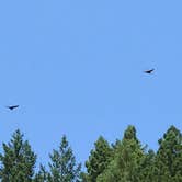 Review photo of Ice House Campground by Jeremy F., September 1, 2017
