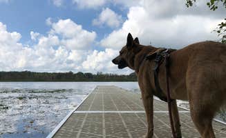 Art S.'s photo of camping with pets at Benton Lake Campground near White Cloud, MI