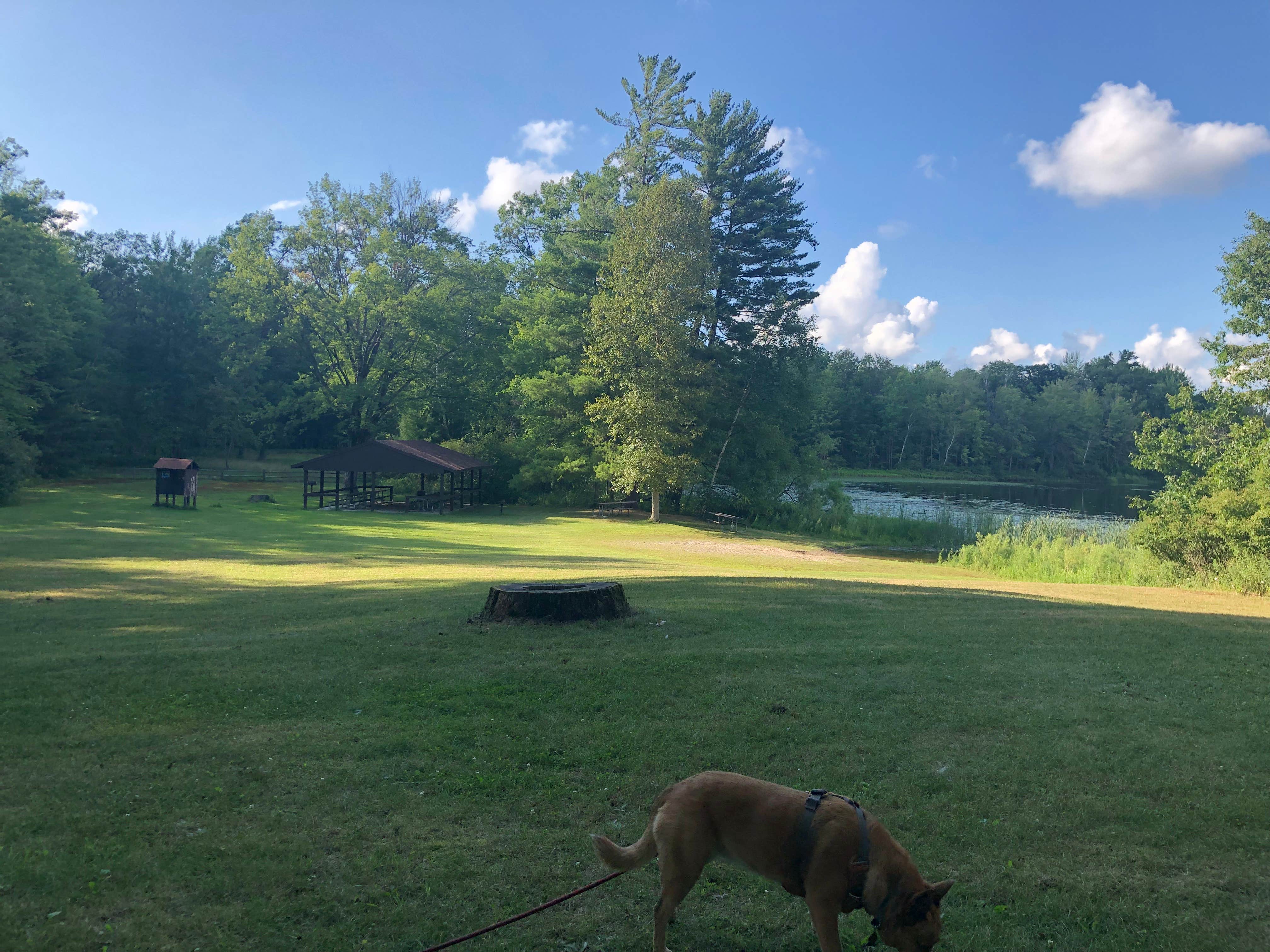 Art S.'s photo of camping with pets at Benton Lake Campground near Baldwin, MI