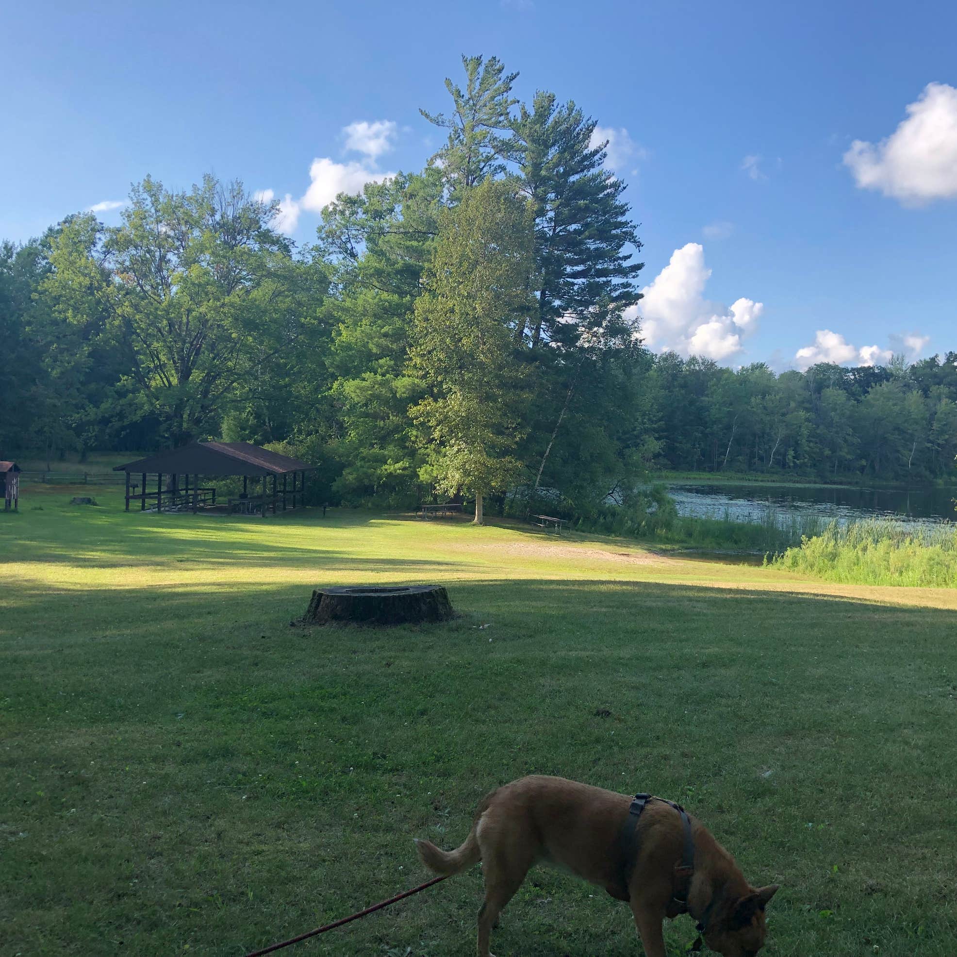 Benton Lake Campground Camping The Dyrt
