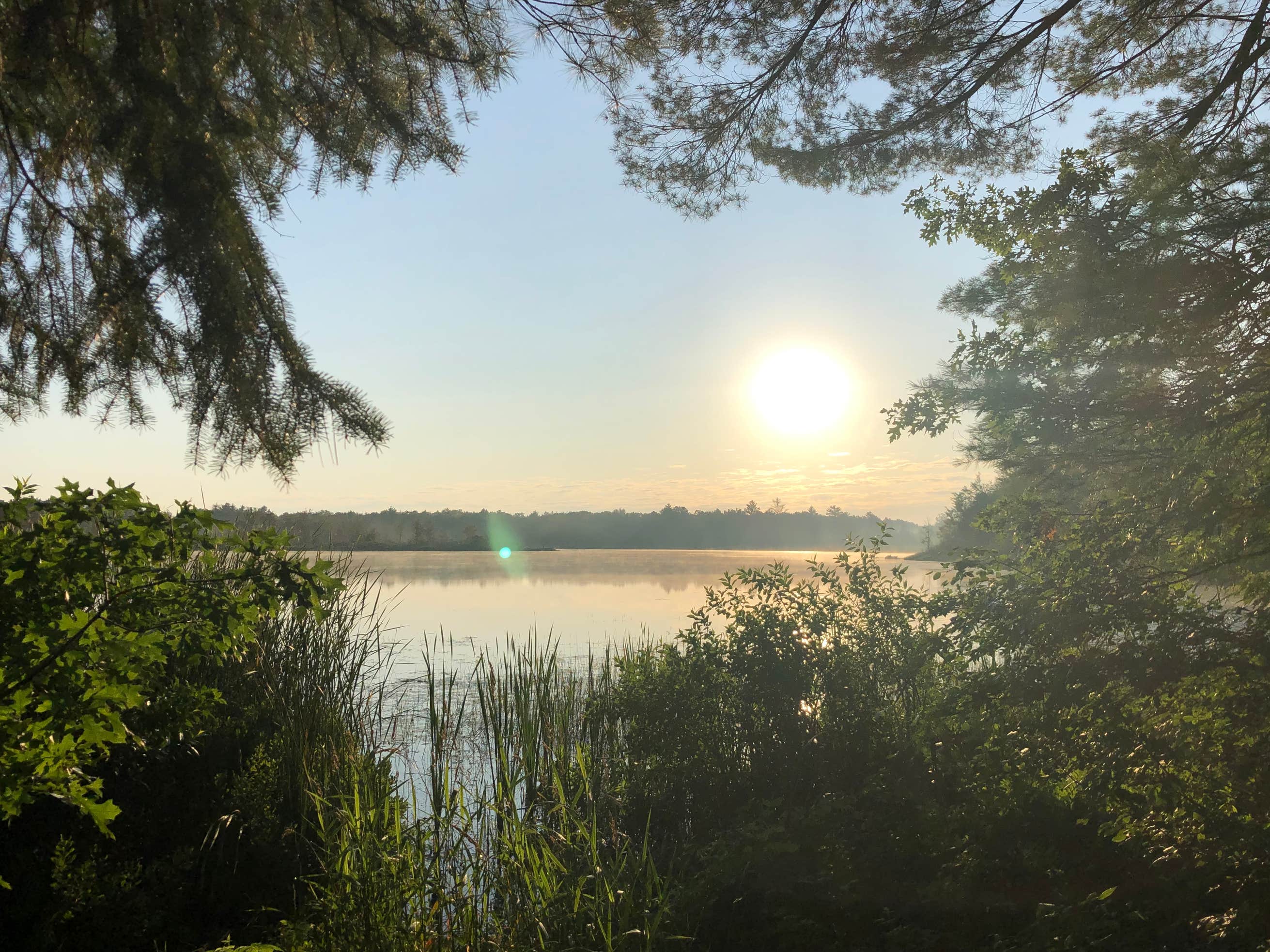 Benton Lake Campground Camping The Dyrt