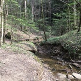 Review photo of Sipsey Wilderness Backcountry Site (Trail 200 Site H) by Asher K., February 29, 2020