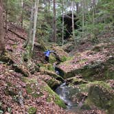 Review photo of Sipsey Wilderness Backcountry Site (Trail 200 Site H) by Asher K., February 29, 2020