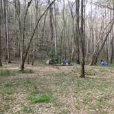 Review photo of Sipsey Wilderness Backcountry Site (Trail 200 Site G) by Asher K., February 29, 2020