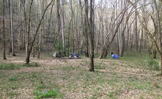 Asher K.'s photo at Sipsey Wilderness Backcountry Site (Trail 200 Site G) near National Forests in Alabama