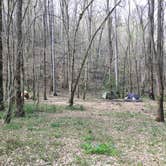 Review photo of Sipsey Wilderness Backcountry Site (Trail 200 Site G) by Asher K., February 29, 2020