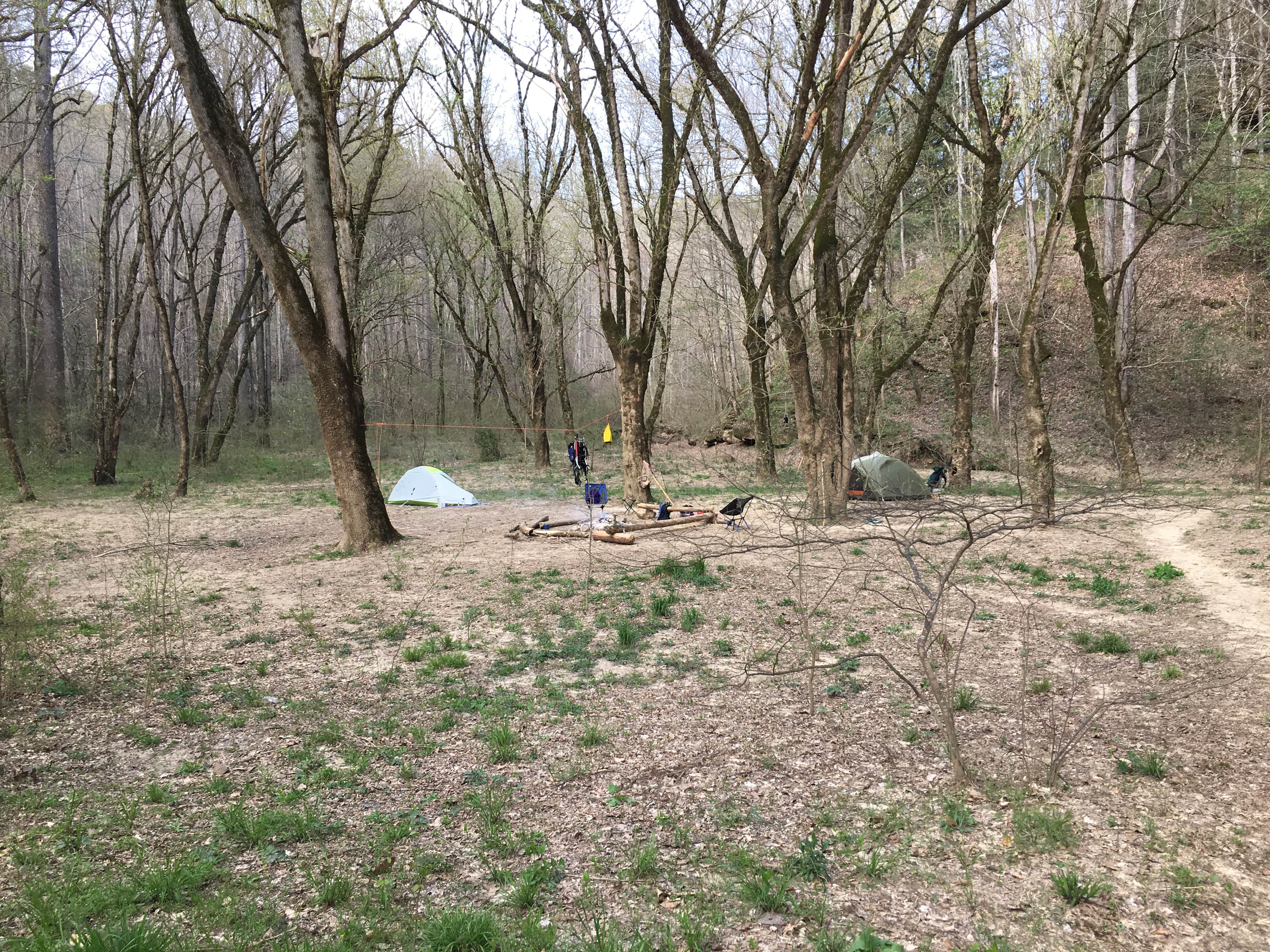 Asher K.'s photo of tent camping at Sipsey Wilderness Backcountry Site (Trail 200 Site G) near Warrior, AL