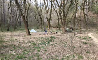 Asher K.'s photo of tent camping at Sipsey Wilderness Backcountry Site (Trail 200 Site G) near Addison, AL