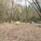 Review photo of Sipsey Wilderness Backcountry Site (Trail 200 Site G) by Asher K., February 29, 2020