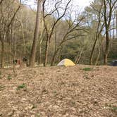 Review photo of Sipsey Wilderness Backcountry Site (Trail 200 Site G) by Asher K., February 29, 2020