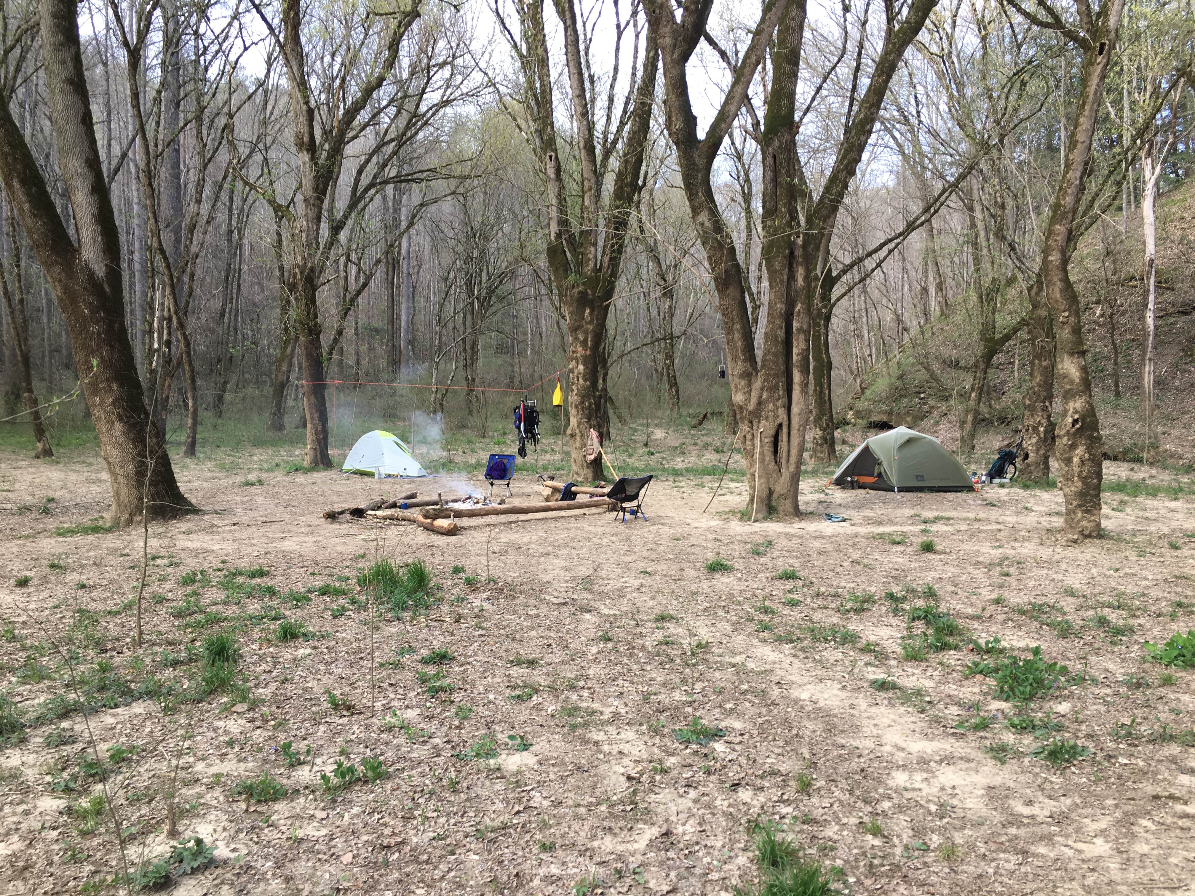 Camper-submitted photo at Sipsey Wilderness Backcountry Site (Trail 200 Site G) near Warrior, AL
