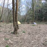 Review photo of Sipsey Wilderness Backcountry Site (Trail 200 Site G) by Asher K., February 29, 2020