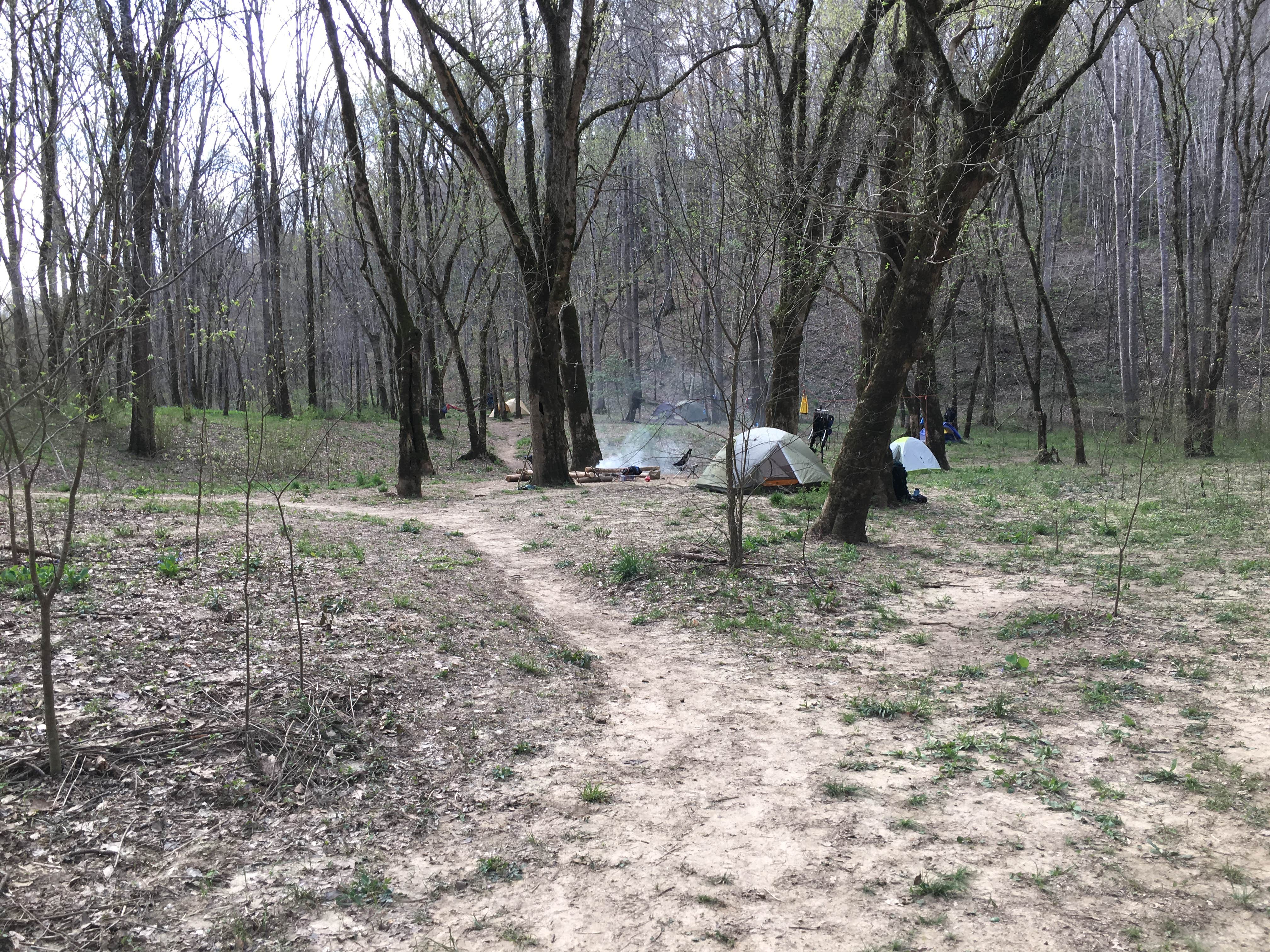 Camper-submitted photo at Sipsey Wilderness Backcountry Site (Trail 200 Site G) near Warrior, AL