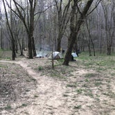 Review photo of Sipsey Wilderness Backcountry Site (Trail 200 Site G) by Asher K., February 29, 2020