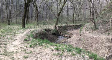 Sipsey Wilderness Backcountry Site (Trail 200 Site G)