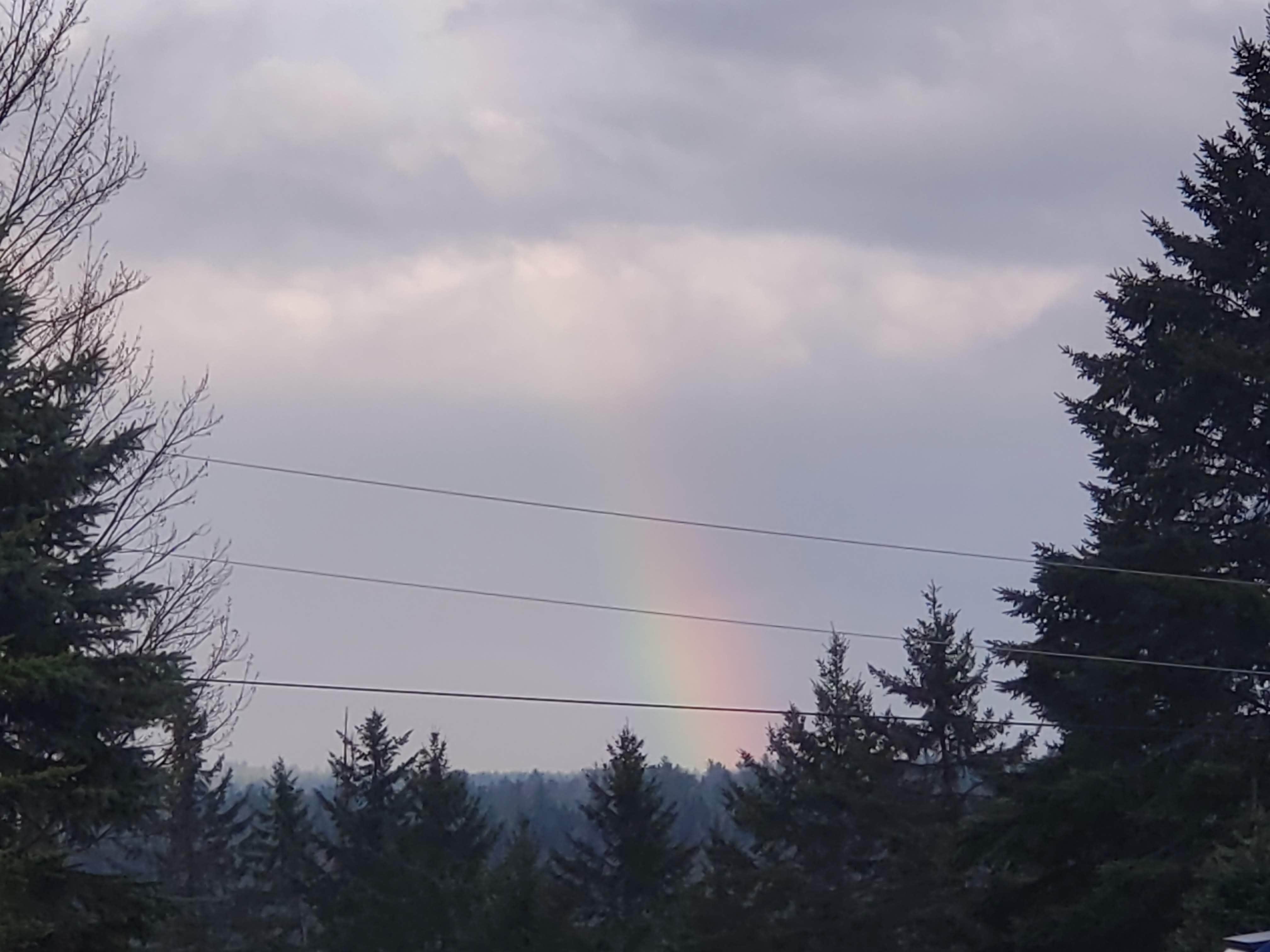 Camper-submitted photo at Rogers Campground & Motel near Berlin, NH