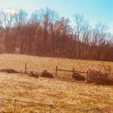 Review photo of Big Bone Lick State Park Campground by Zoe S., February 29, 2020