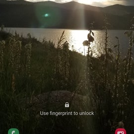 Path down to Lake was so nice I used it as my wallpaper