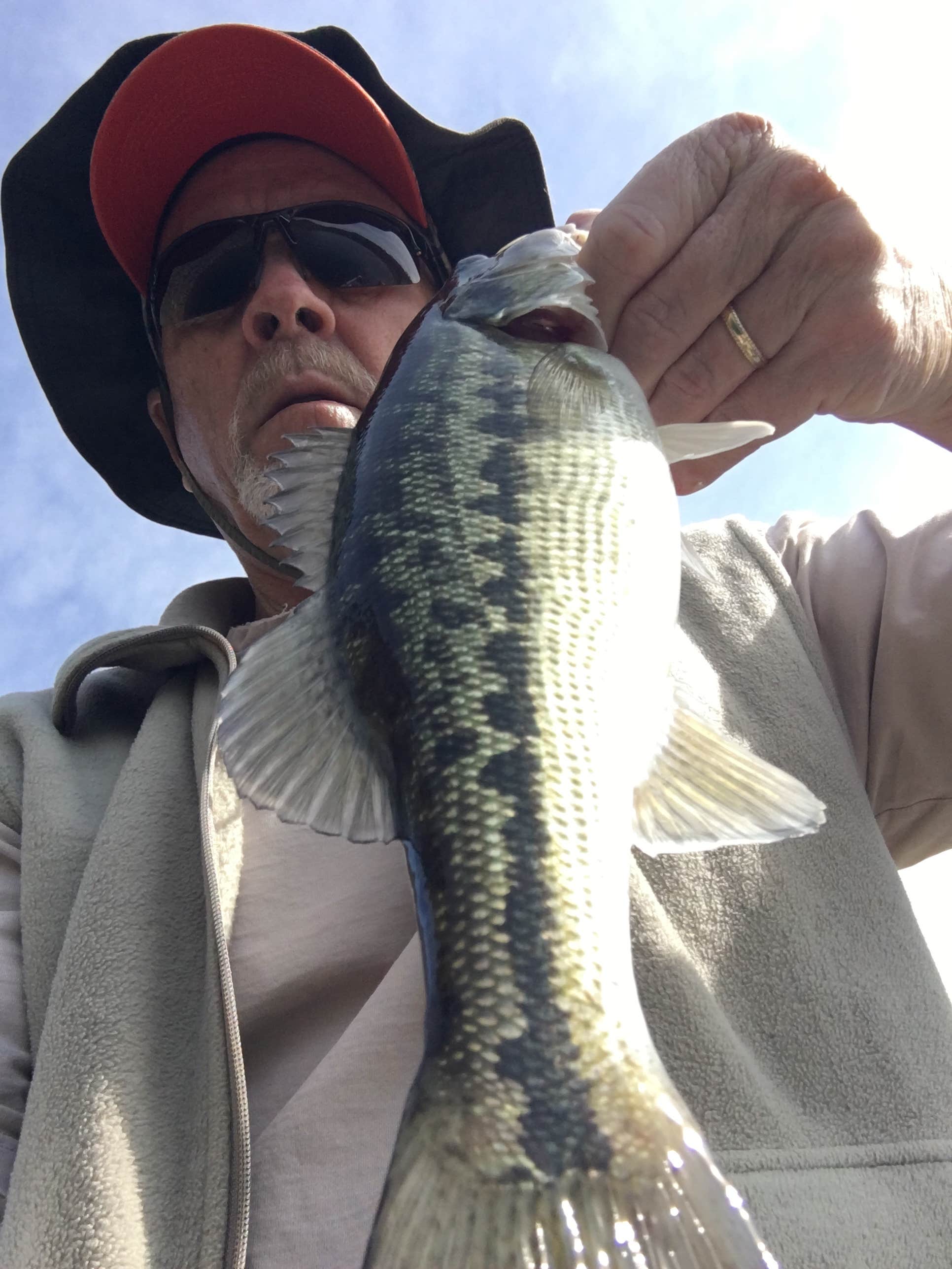 Camper-submitted photo at Millerton Lake State Recreation Area Campground near Auberry, CA