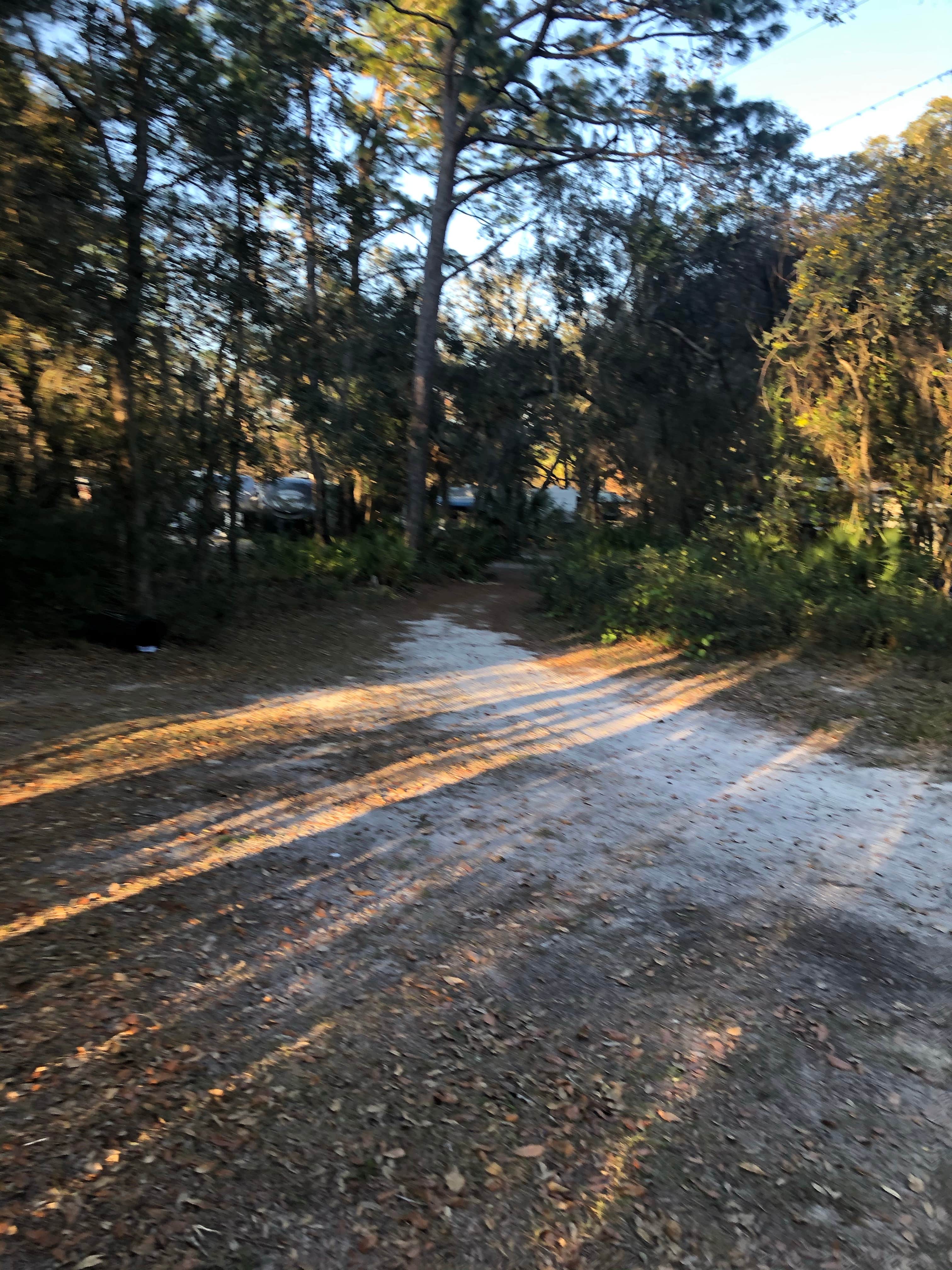 Camper submitted image from Cody's RV Park - 4