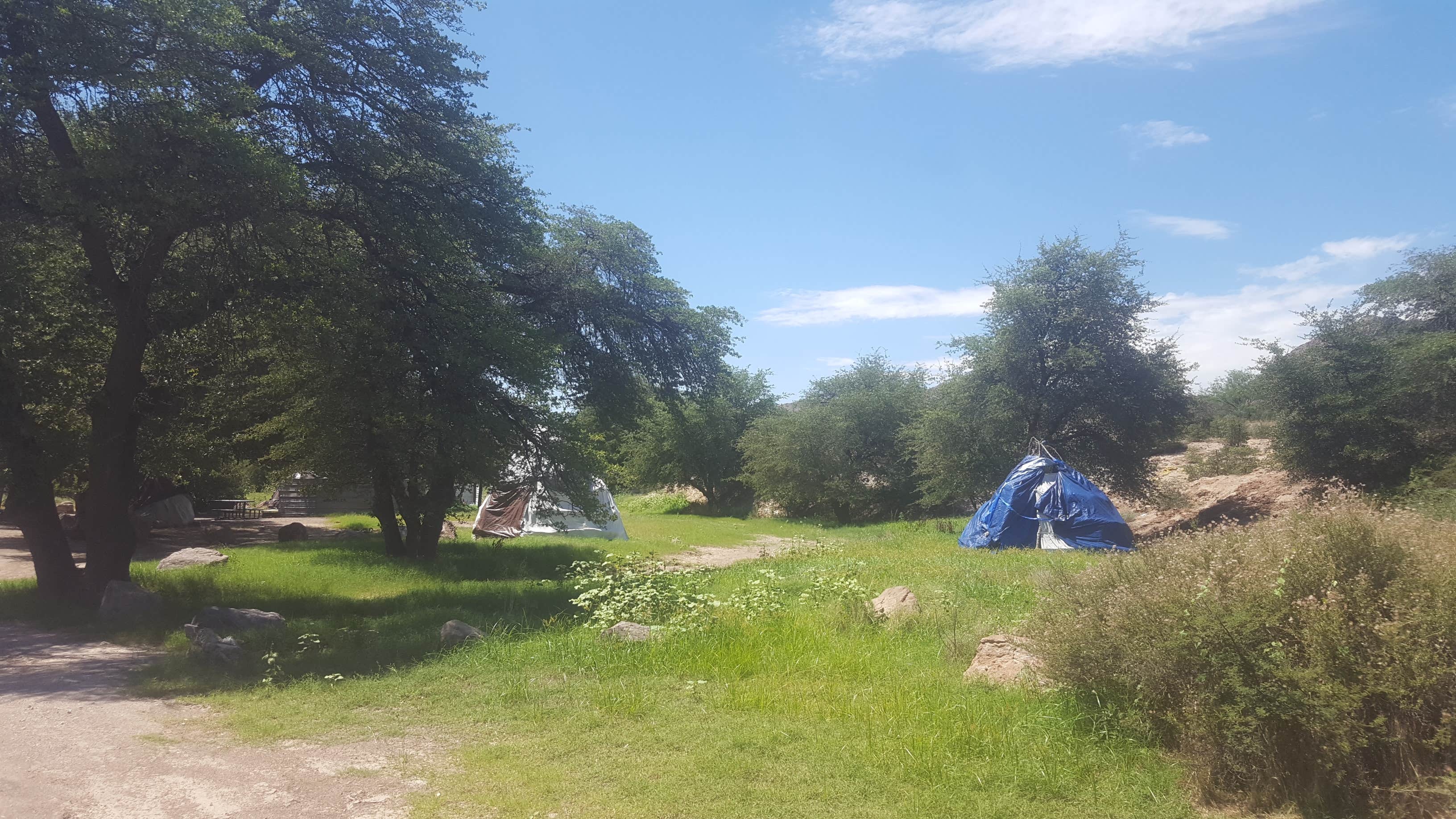 Camper-submitted photo at Oak Flat Campground near Superior, AZ