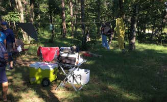 Asher K.'s photo at Cherokee Rock Village in Alabama