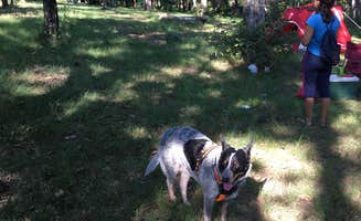 Asher K.'s photo of camping with pets at Cherokee Rock Village near Rainbow City, AL