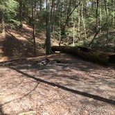 Review photo of Sipsey Wilderness Backcountry Site (Trail 200 Site F) by Asher K., March 1, 2020
