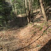 Review photo of Sipsey Wilderness Backcountry Site (Trail 200 Site F) by Asher K., March 1, 2020