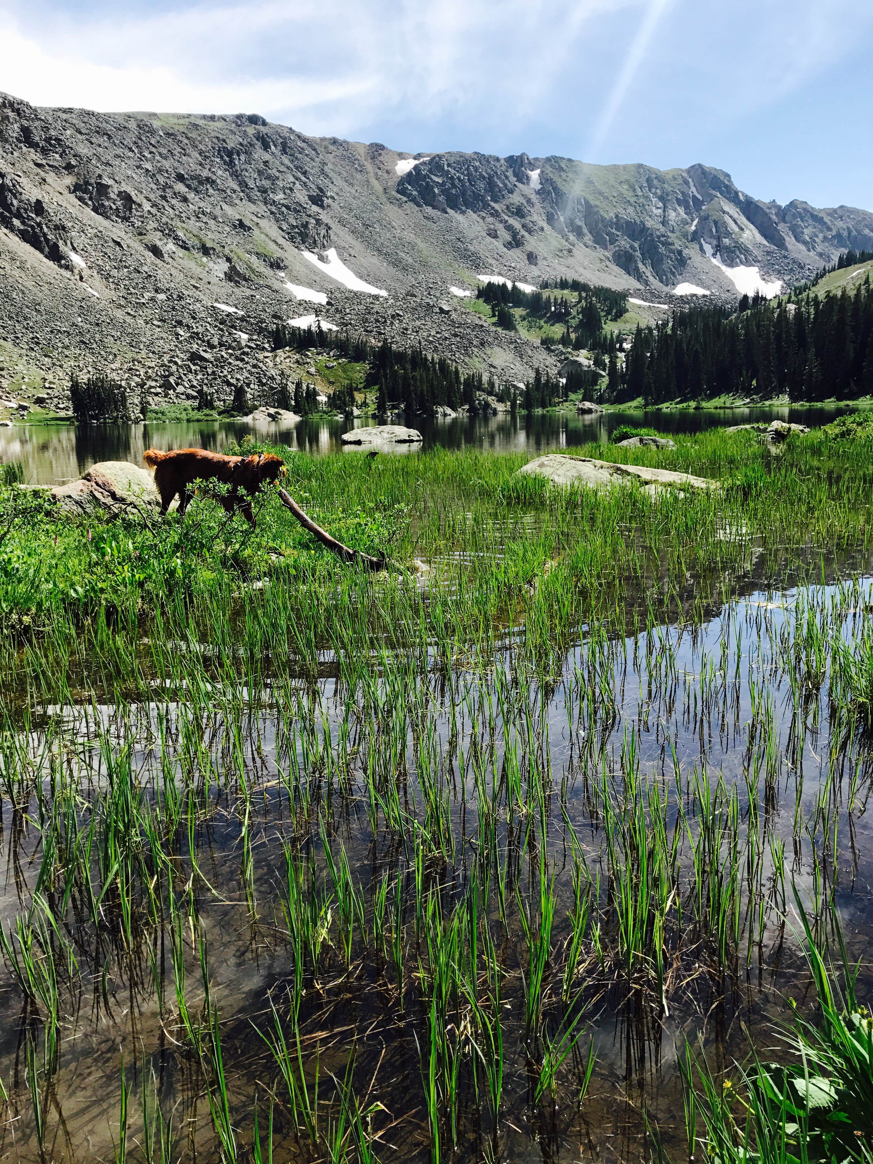 Camper-submitted photo at Buckingham Campground near Fraser, CO