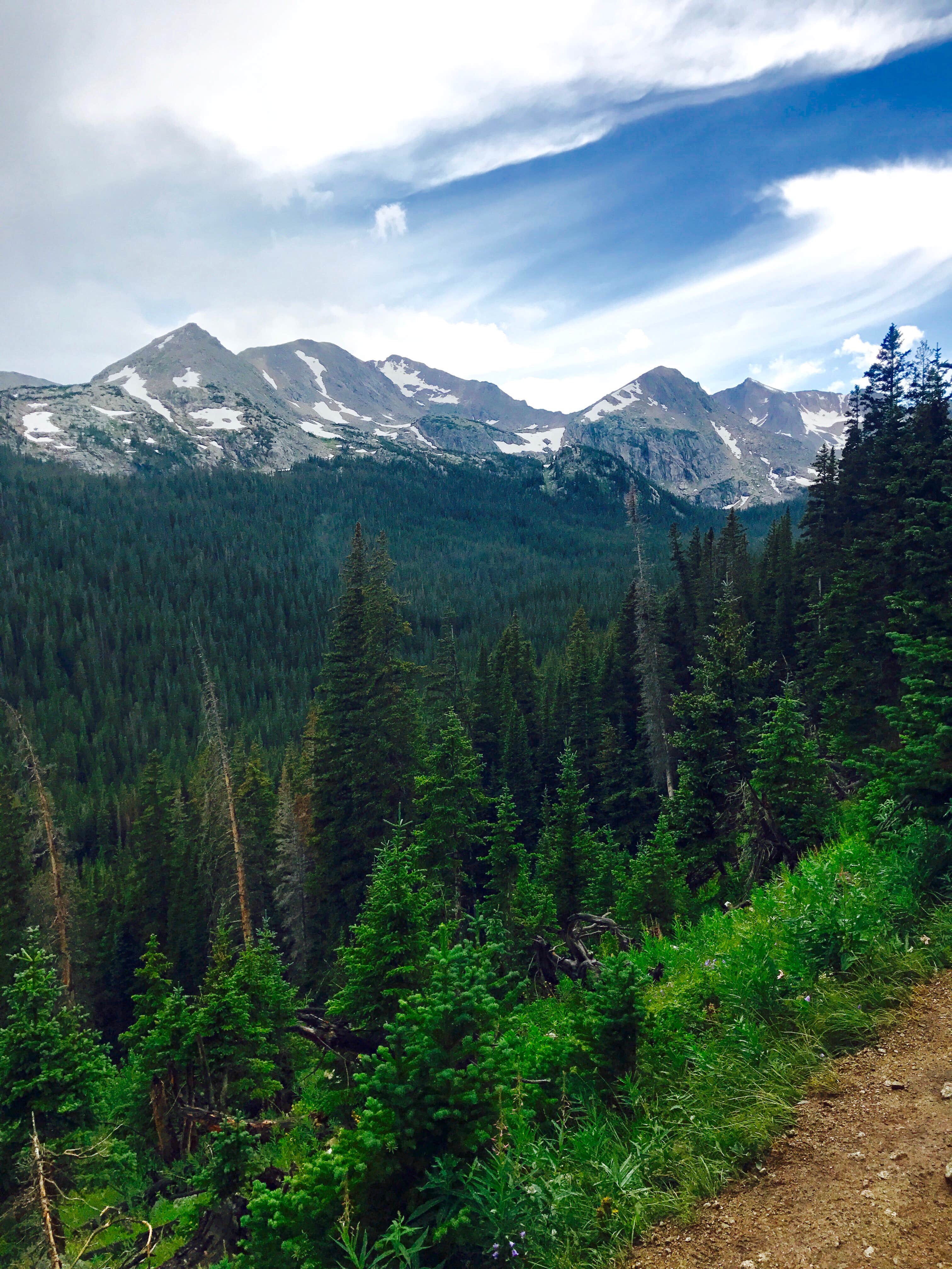 Camping near Rainbow Lakes Wilderness Area: Buckingham Campground, Nederland, Colorado