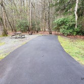 Review photo of Smokemont Campground — Great Smoky Mountains National Park by Jean C., March 1, 2020