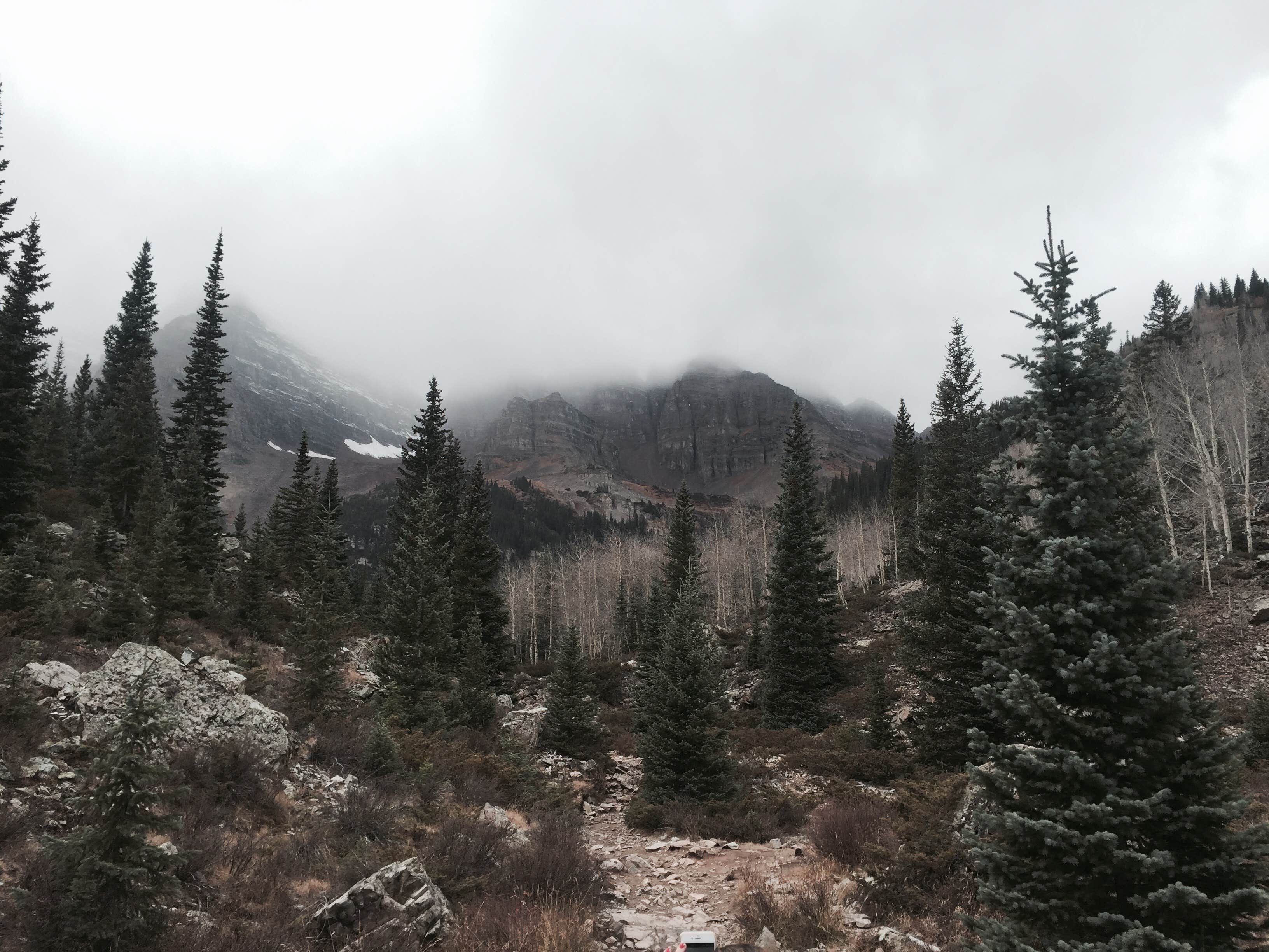 Camper-submitted photo at Silver Queen Campground near Aspen, CO