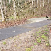 Review photo of Smokemont Campground — Great Smoky Mountains National Park by Jean C., March 1, 2020