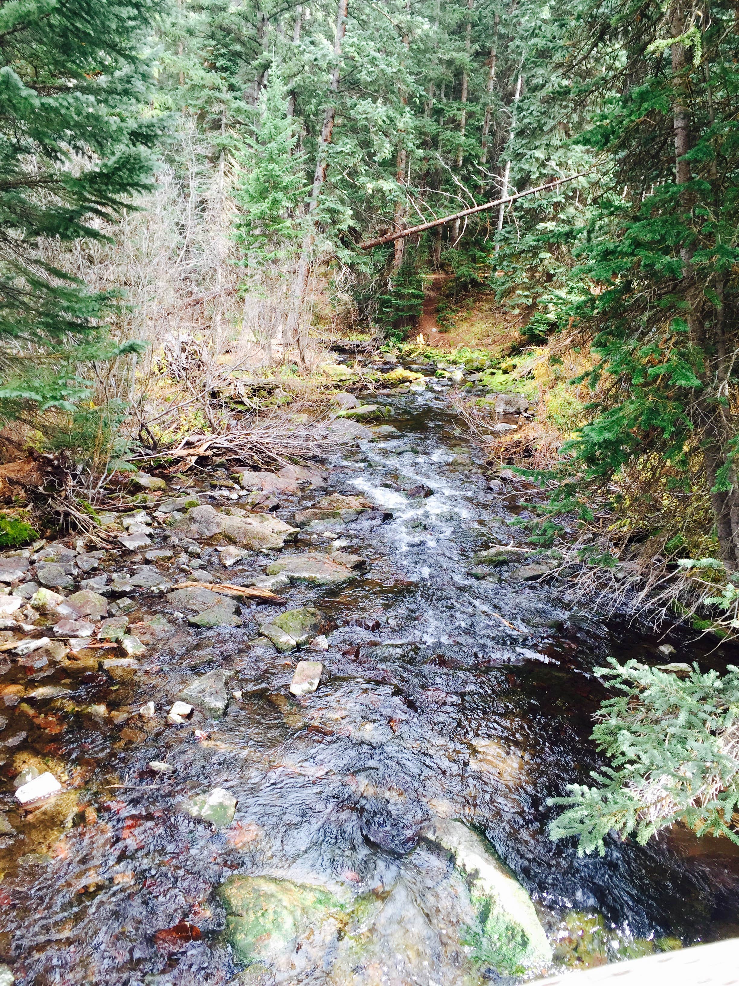 Camper-submitted photo at Silver Queen Campground near Aspen, CO