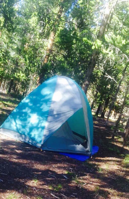 Karl G.'s photo at Silver Queen Campground near Aspen, CO