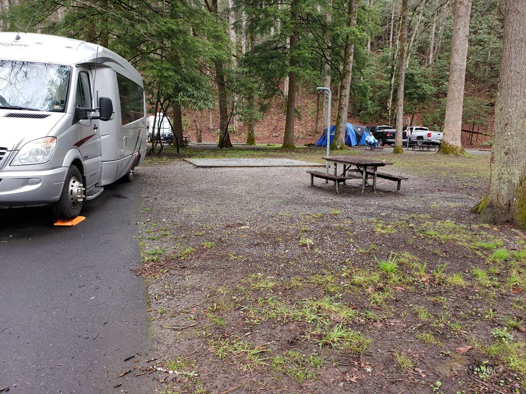 Jean C.'s photo at Smokemont Campground — Great Smoky Mountains National Park near Great Smoky Mountains National Park