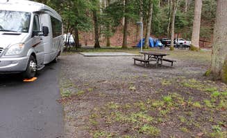 Jean C.'s photo at Smokemont Campground — Great Smoky Mountains National Park near Cherokee, NC