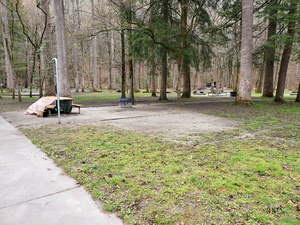 Jean C.'s photo at Smokemont Campground — Great Smoky Mountains National Park near Cherokee, NC