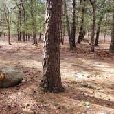 Review photo of Burlingame State Park Campground by Jean C., March 1, 2020