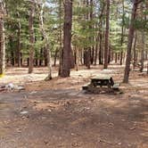 Review photo of Burlingame State Park Campground by Jean C., March 1, 2020