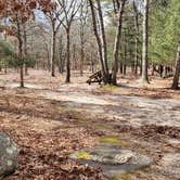 Review photo of Burlingame State Park Campground by Jean C., March 1, 2020