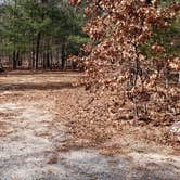 Review photo of Burlingame State Park Campground by Jean C., March 1, 2020