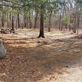 Review photo of Burlingame State Park Campground by Jean C., March 1, 2020