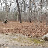 Review photo of Burlingame State Park Campground by Jean C., March 1, 2020